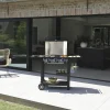 Barbecue gaz Flavo 60 sur chariot