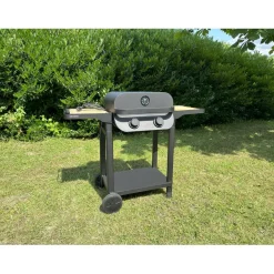Barbecue électrique FLAVO 50 SC