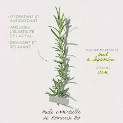 Barre De Massage Romarin Herbier