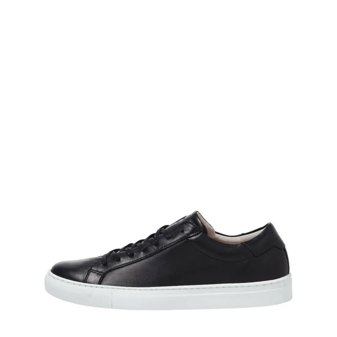 Baskets Basse Noir Vern