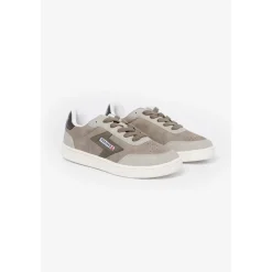 Baskets basses femme gris