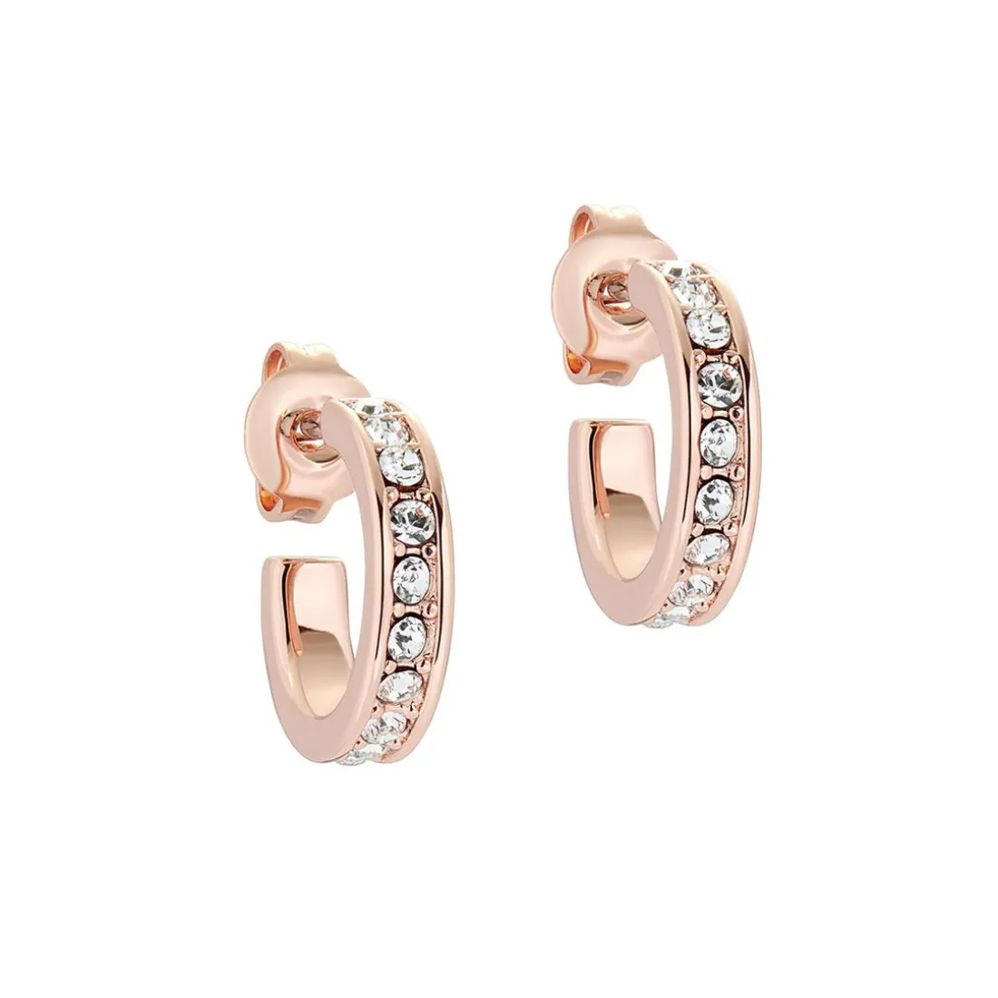 Boucles oreilles Femme TBJ2767-24-02