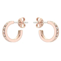 Boucles oreilles Femme TBJ2767-24-02