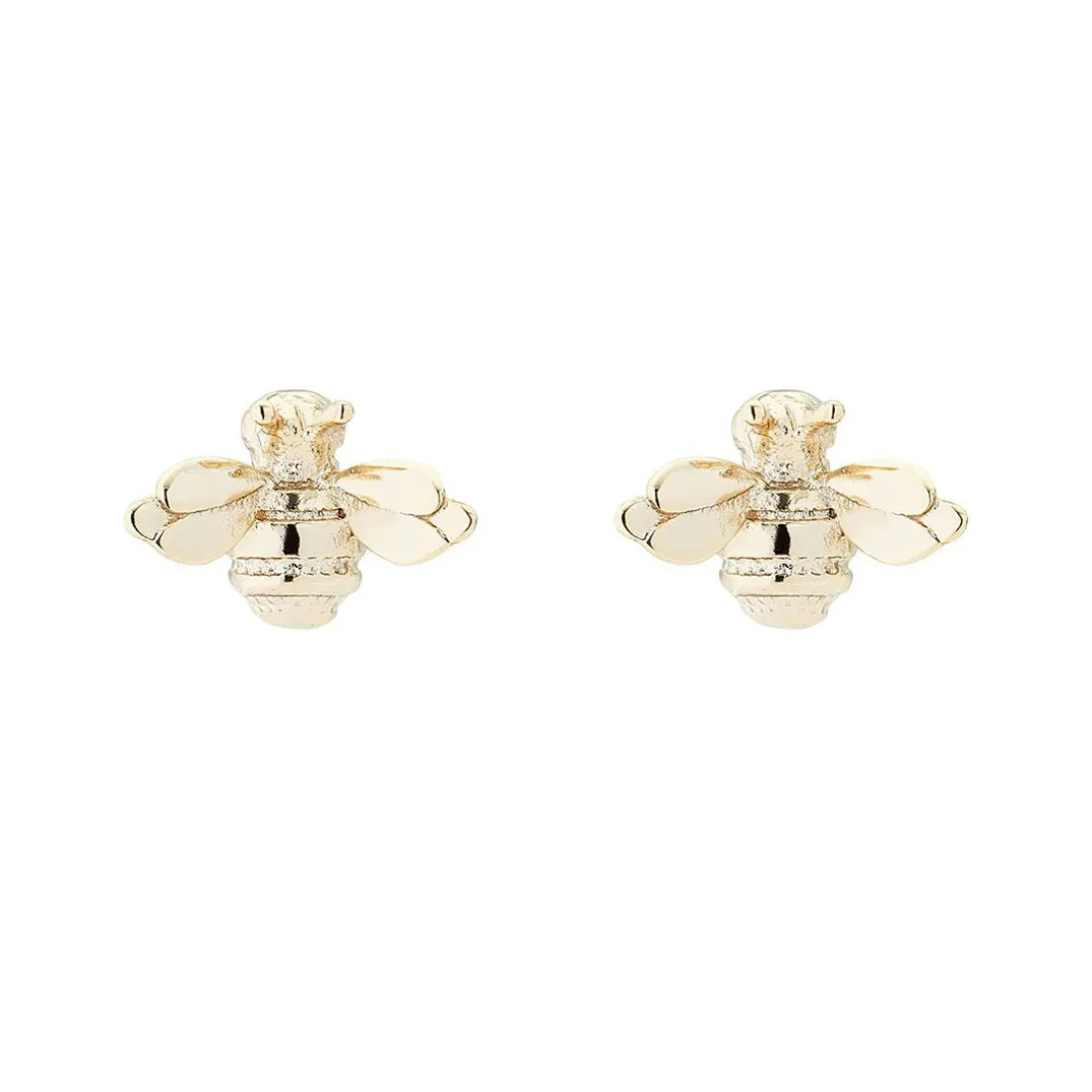 Boucles oreilles Femme TBJ1848-32-03