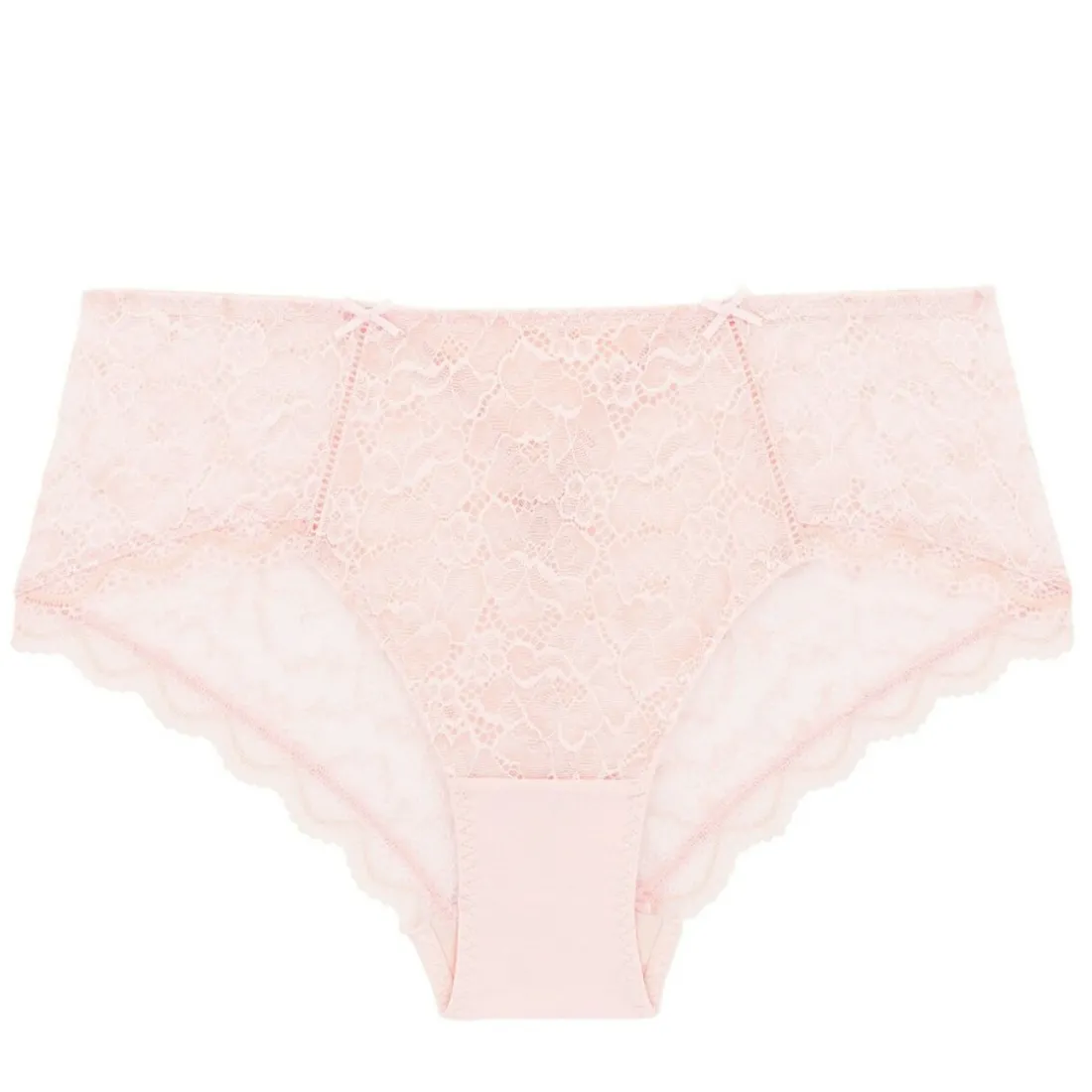Boxer rose