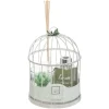 Cage Et Diff Et Bougie Lola, Vert Pâle