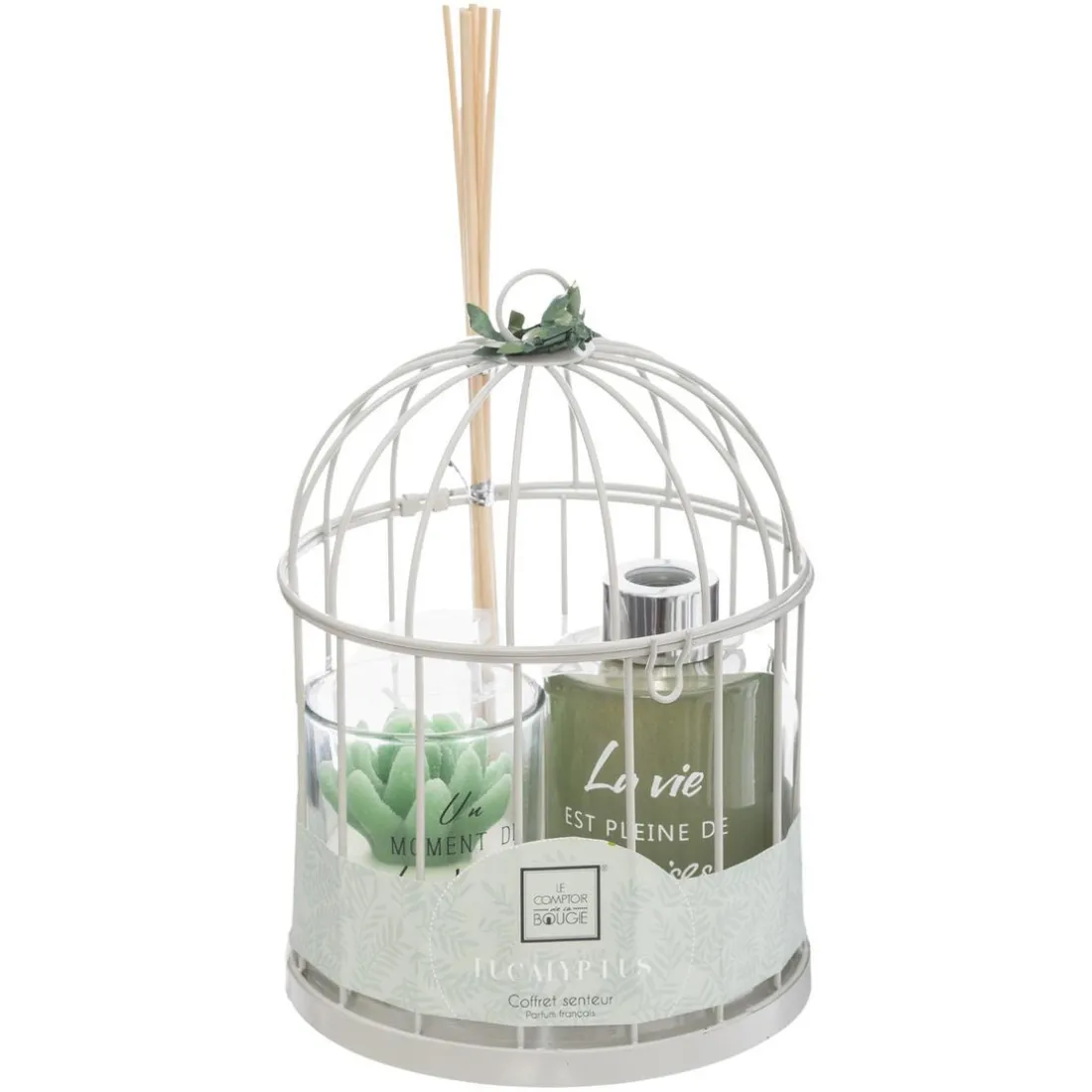 Cage Et Diff Et Bougie Lola, Vert Pâle