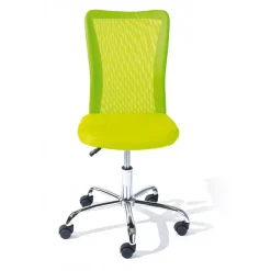 Chaise de bureau enfant à roulettes Vert DUTEL