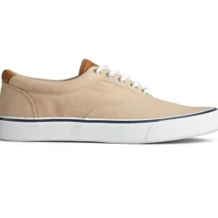 Chaussures Vulcanisée Pour Homme STRIPER II CVO - Coton beige