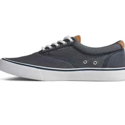 Chaussures Vulcanisée Pour Homme STRIPER II CVO - Coton gris