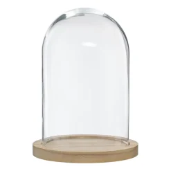 Cloche Verre Socle Bois transparent