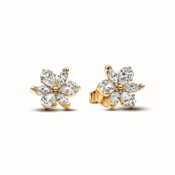 Clous d’Oreilles Herbier Scintillant - Pandora Timeless Doré