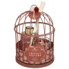 Coffret Cage Lola Wonderly Douceur Vanille