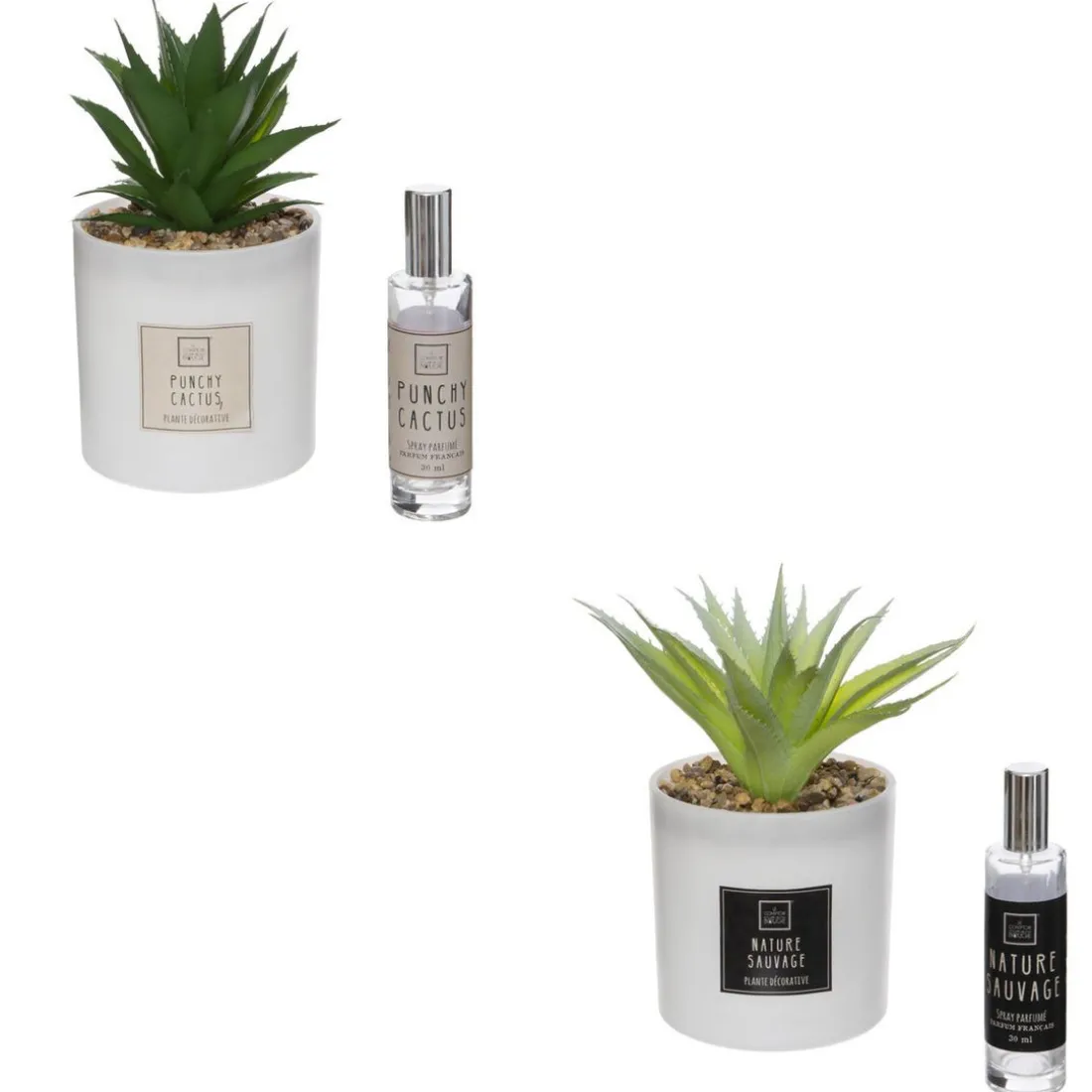 Coffret Senteur Cactus