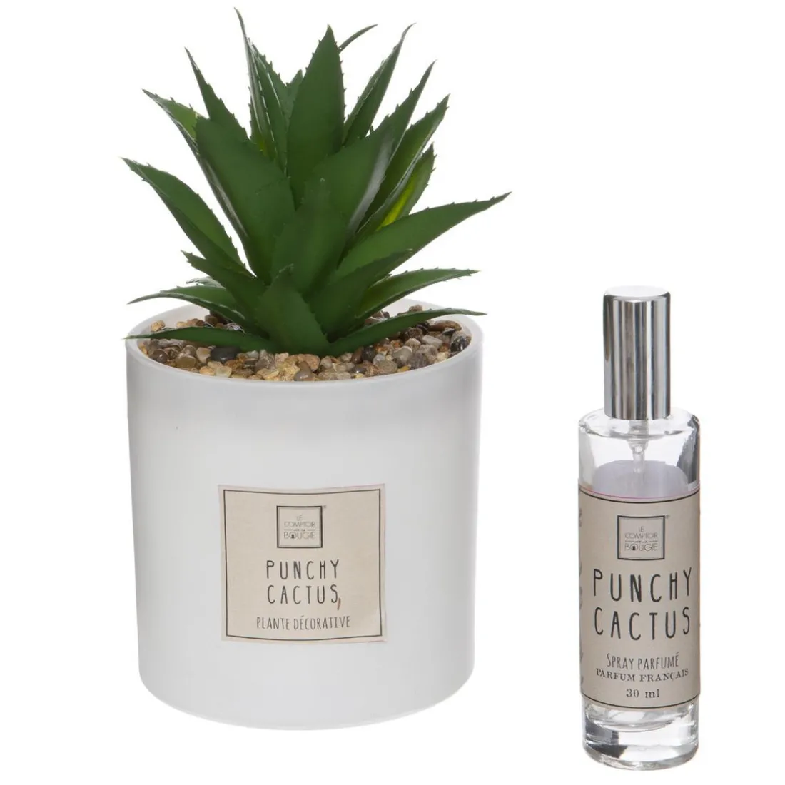 Coffret Senteur Cactus