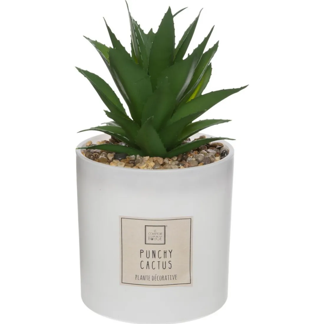 Coffret Senteur Cactus