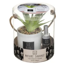 Coffret Senteur Cactus