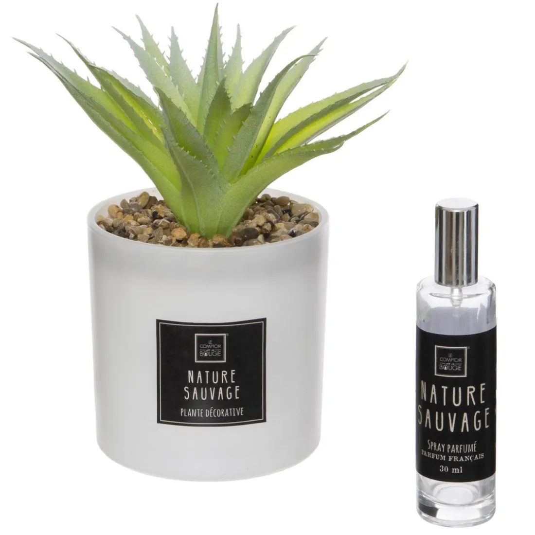 Coffret Senteur Cactus