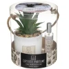 Coffret Senteur Cactusvoir
