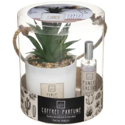 Coffret Senteur Cactusvoir