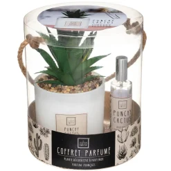 Coffret Senteur Cactusvoir