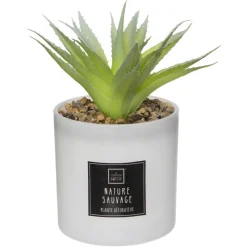 Coffret Senteur Cactusvoir