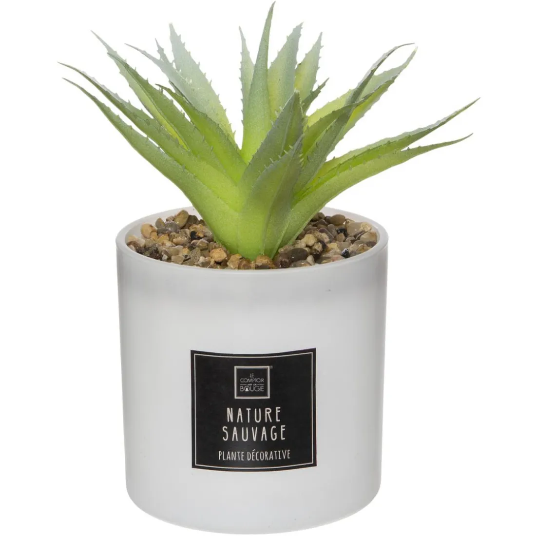 Coffret Senteur Cactusvoir