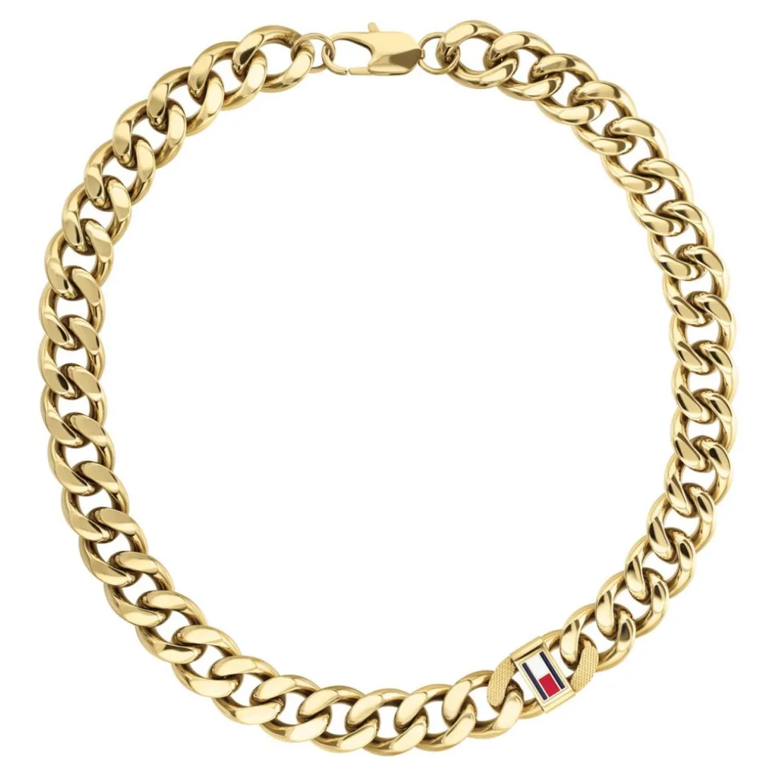 Collier Homme Tommy Hilfiger Wild - 2790636 Acier Doré