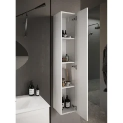 Colonne de rangement salle de bain 1 Porte Miroir L40xH195 cm