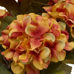 Composition florale Fria Orange