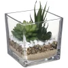 Composition Plante Pot KRE 12