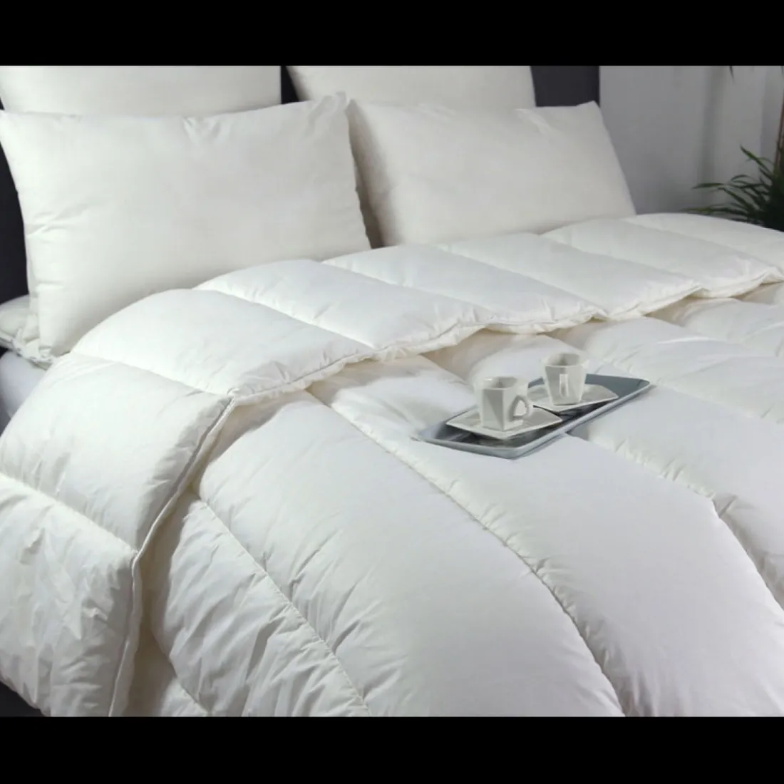 Couette 200G microfibre Becquet - Blanc
