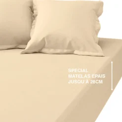 Drap Housse uni Grand Bonnet satin de coton TERTIO® - Ecru