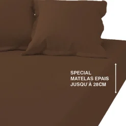 Drap-housse grand bonnet coton TERTIO® - Chocolat