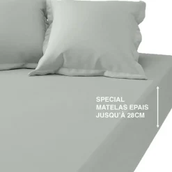 Drap-housse grand bonnet coton TERTIO® - Celadon