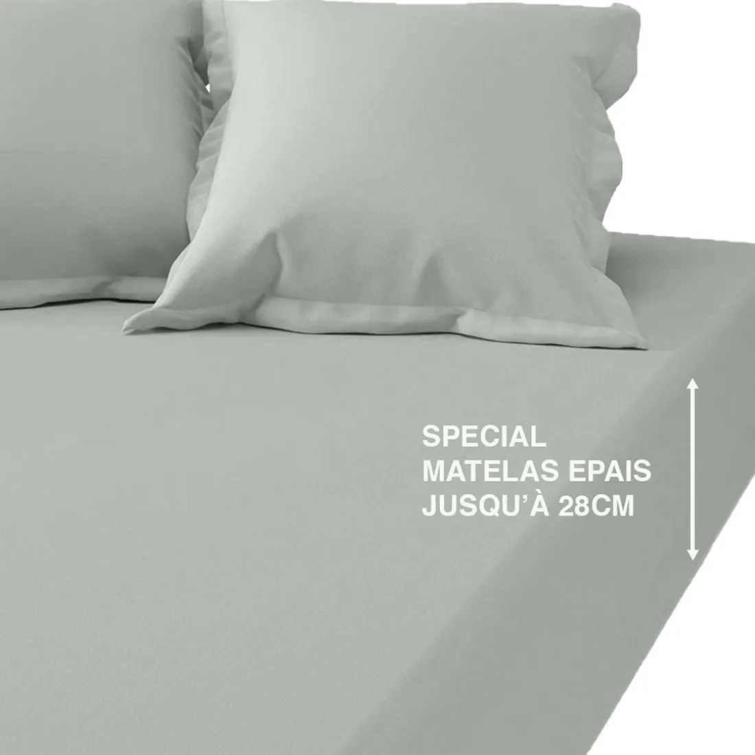 Drap-housse grand bonnet coton TERTIO® - Celadon