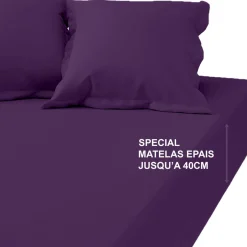 Drap-housse grand bonnet XL percale de coton TERTIO® - Violet