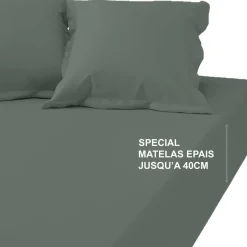 Drap-housse grand bonnet XL Coton TERTIO® - Lichen