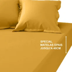 Drap-housse grand bonnet XL Coton TERTIO® - Curry