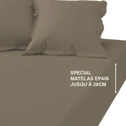 Drap-housse matelas épais coton TERTIO® - taupe