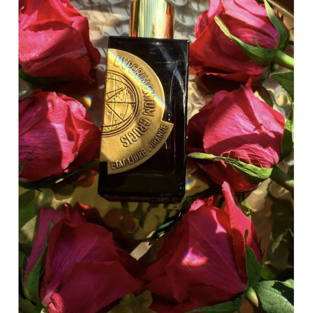 EXPERIMENTUM CRUCIS 100ML