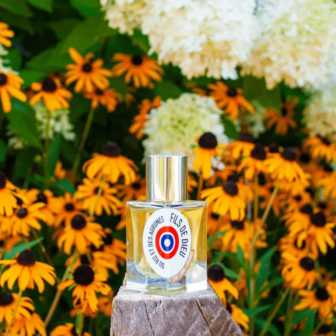 FILS DE DIEU - EAU DE PARFUM