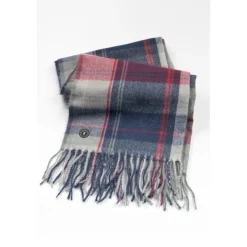 Foulard CERIS multicolore Ash
