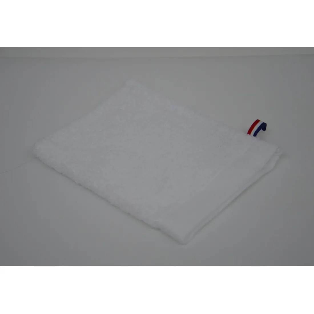 Gant de toilette FRENCHY Coton 500g/m²