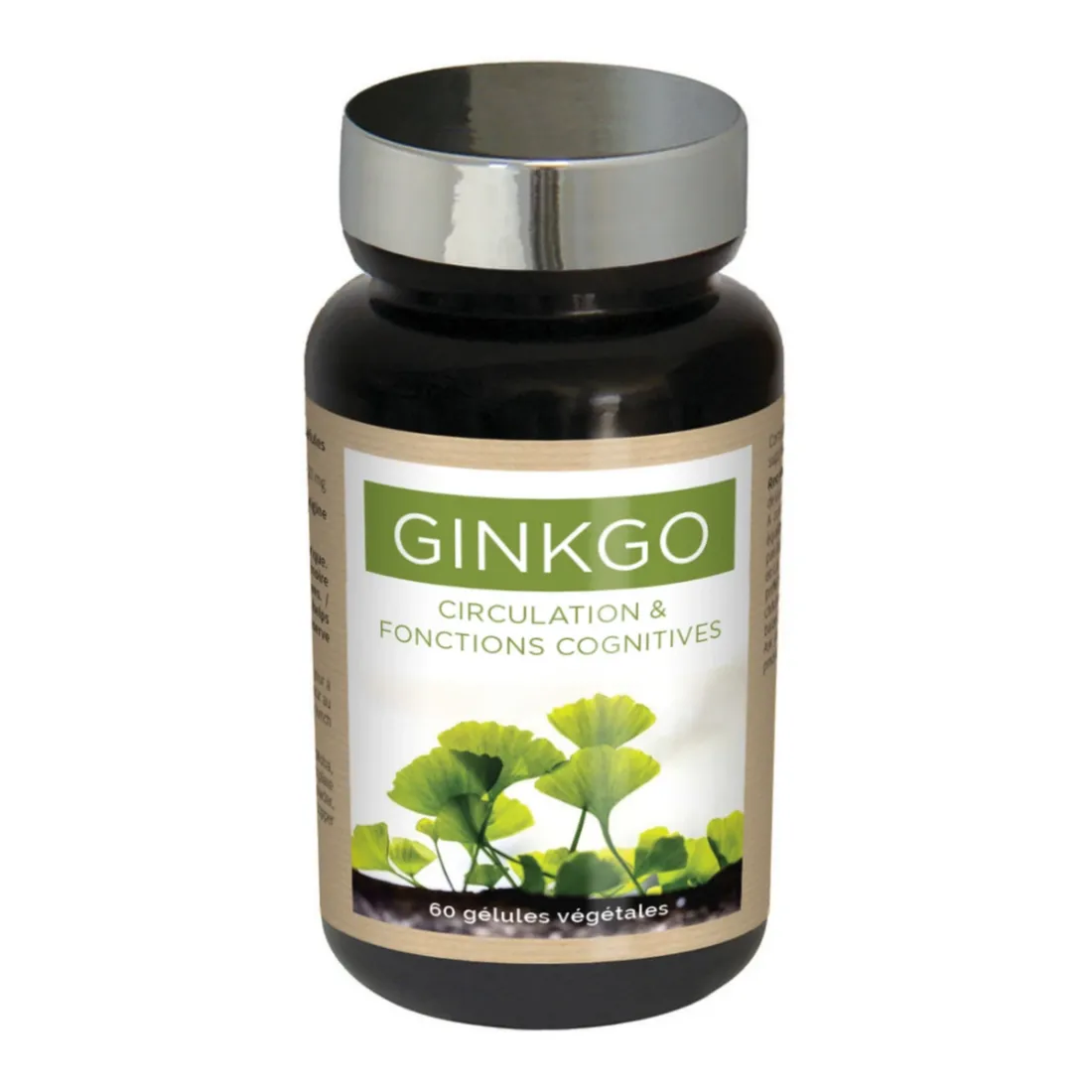 Ginkgo Circulation et Fonctions Cognitives