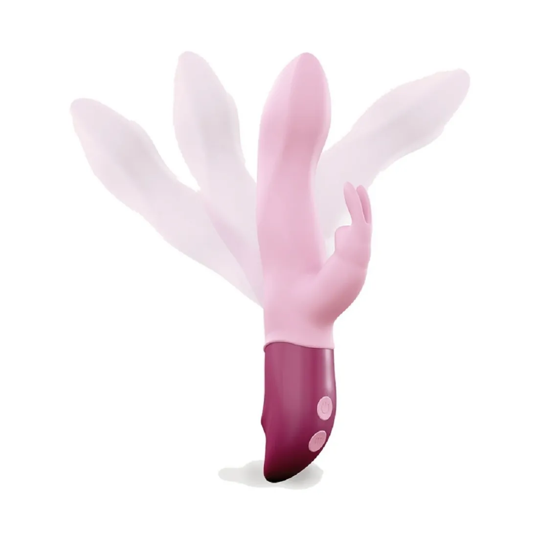 HELLO RABBIT ROSE
