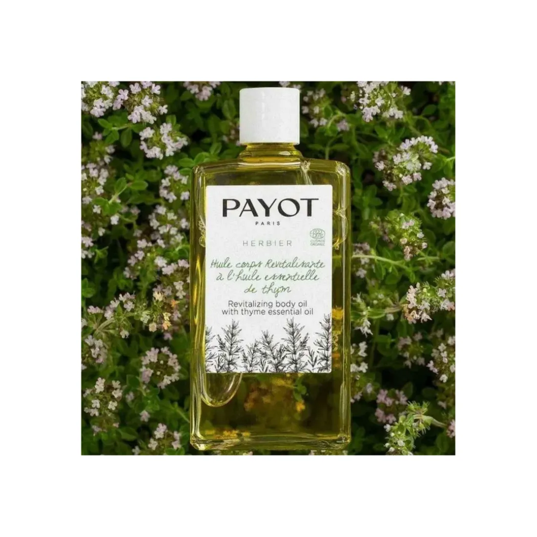 Huile Herbier Revitalisante Et Détoxifiante Au Thym Herbier