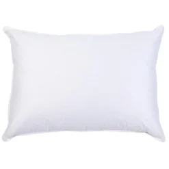 Interieur de coussin PLUMES Blanc
