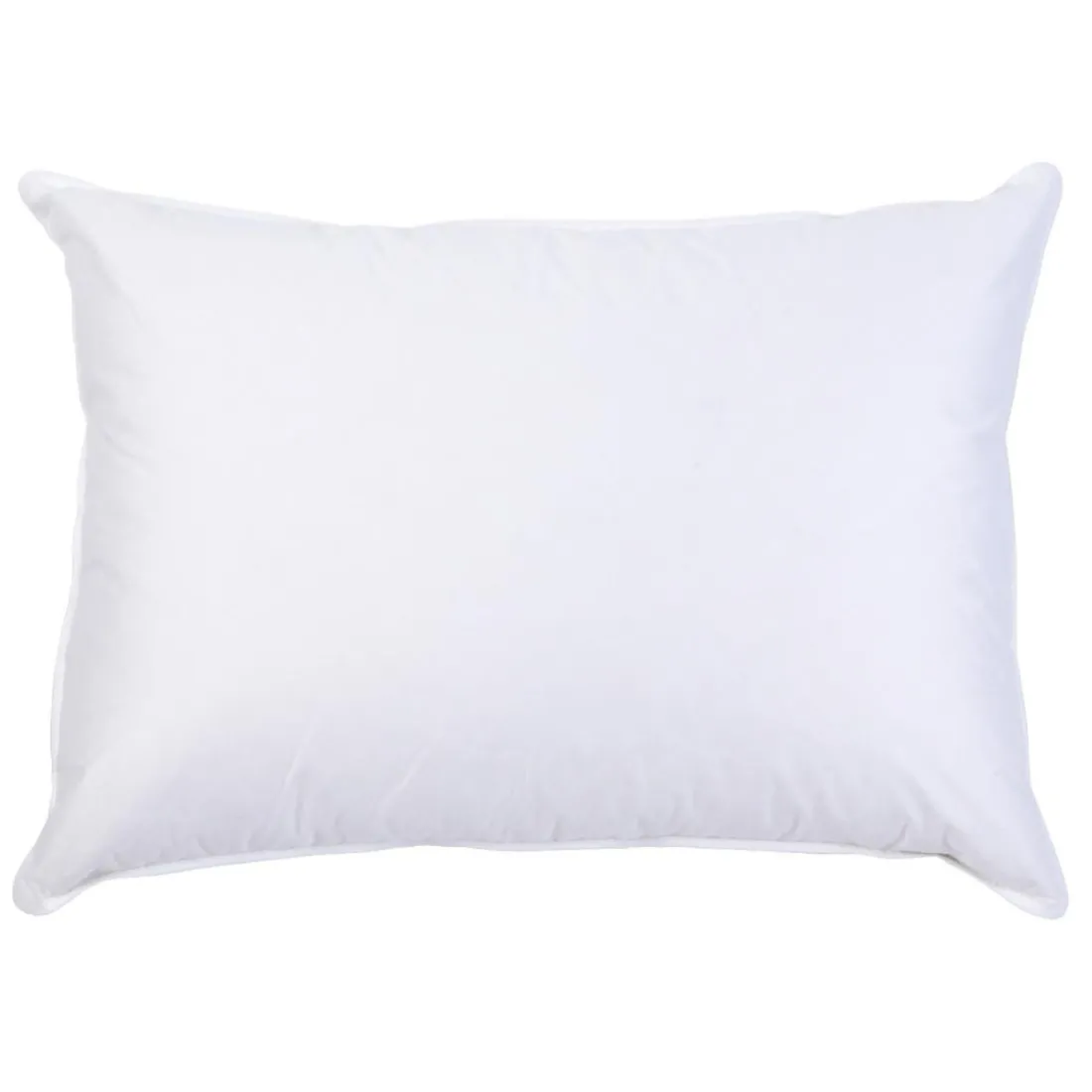 Interieur de coussin PLUMES Blanc