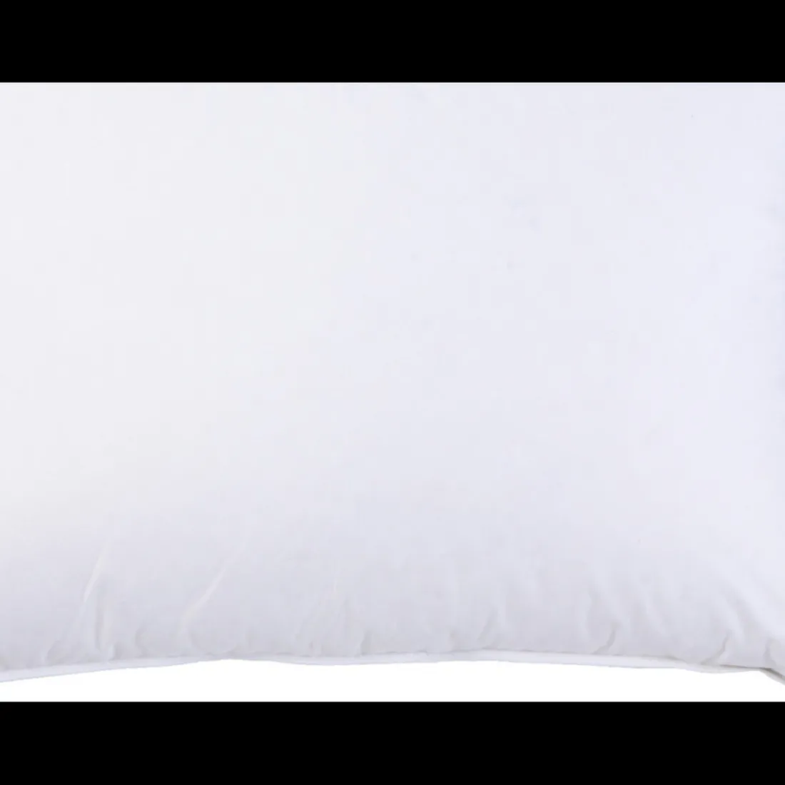 Interieur de coussin PLUMES Blanc